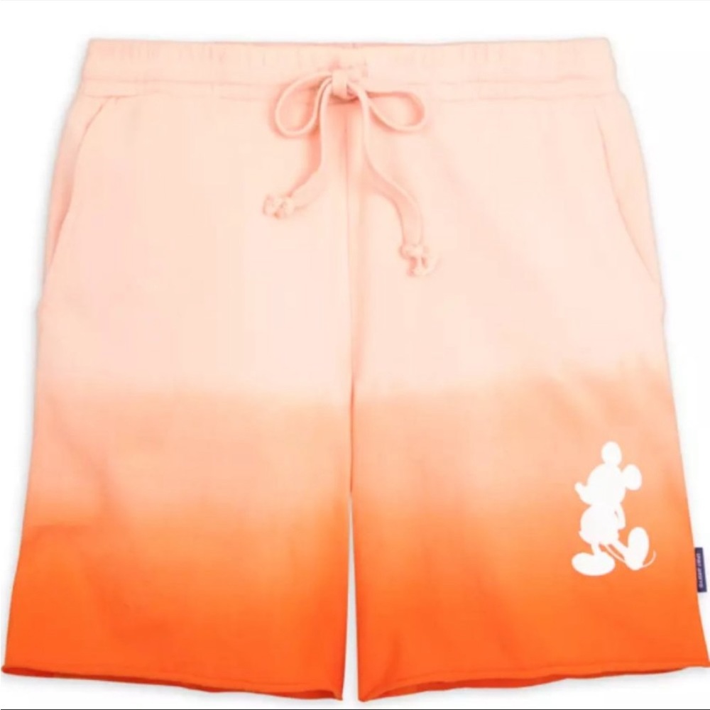 🏰 NWT Disney Parks Spirit Jersey shorts
